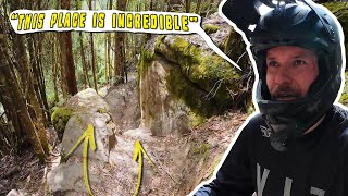 this BIKEPARK is going Worldwide!! TD4