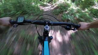 Wild Trail / Line 3
