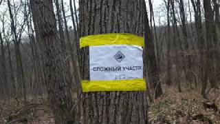 MTB trail 'Wild'