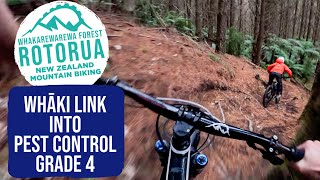A Great Line Re-Opened! Whaki Link into Pest...