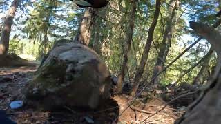 Whistler Lower Dh - Slow speed crash! Not...