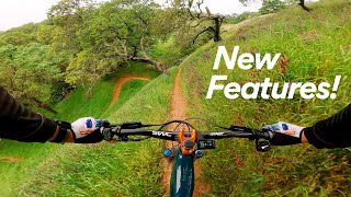 Fast, Flow, and Fun: New Curl of the Burl...