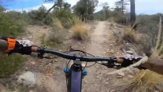 @Tucson Incinerator ridge/green mountain trail...