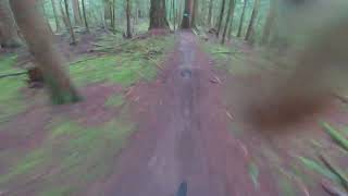Roberts Creek B&K JRX trail #sunshinecoast...