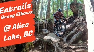 Entrails & Boney Elbows Black Trails -...