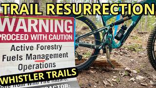 A Logged Whistler Black Trail Brought Back To...