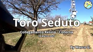 Toro Seduto collegamento Resina - Cisterna