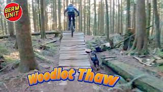 The Woodlot - Spring Thaw -  Fraser Valley -...