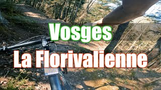 France | Vosges | La Florivalienne