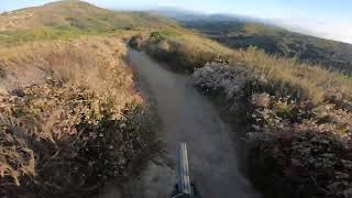 Lynx - Specialized Enduro July 2024