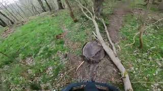 is ravens roost the best trail on gala hill?