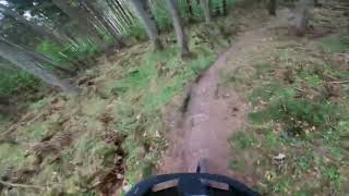 Dance Monkey, Wow It’s Steep!