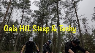 Gala Hill | Tweed Valley | Steep & Techy...