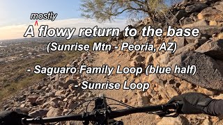 Sunrise Mtn - Saguaro Family Loop, Sunrise...