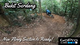 Just roll no pedal at the new flowy trail!...