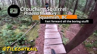 Crouching Squirrel Hidden Monkey - Squamish,...