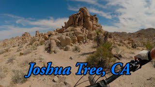 Maybe the best mountain bike trail in...