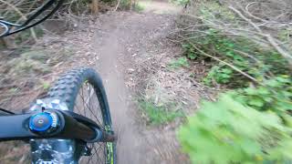 Shrooms Downhill MTB Victoria Park...