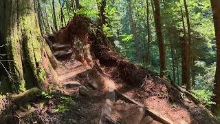 Motoraxe now on trailforks