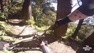 Damiens @ Mt Victoria  4K