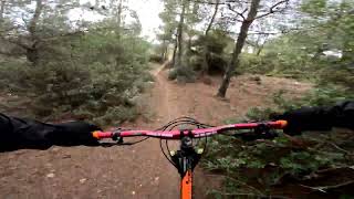 TRAIL VITUS (ROCK MACHINE BLIZZ 40/29)