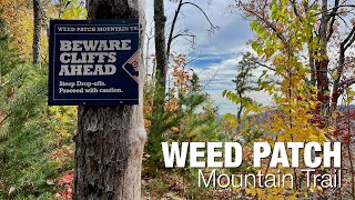 Weed Patch Mountain Trail: one of the best...