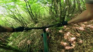 Proljećna vožnja stazom Roller Coaster |...