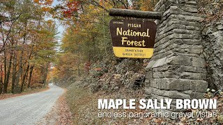 Maple Sally Brown: gravel cycling on one of...