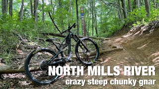 North Mills River Gnar