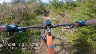Down and Rowdy Trail -- North Slope Olympic...