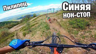 СИНЯЯ ТРАССА НОН-СТОП В...
