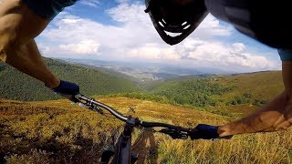 Wild trails Trail