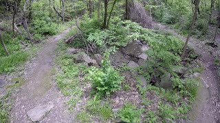 Stephens Park MTB Trail, Moline, IL, May 2025
