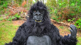 100 Men Vs One Gorilla - In Real Life