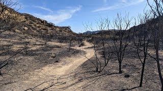 Sheep Corral Trail after the Woolsey Fire - 11/28
