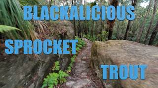 Mt Narra Trails - Blackalicious | Trout | Sprocket
