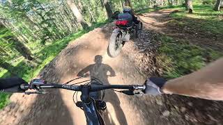Full Double D Lap With Don / Adaptive MTB In...