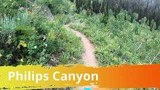 Philips Canyon Trail, Teton Pass, Wyoming