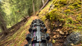 Schwalbe Shredda: la gomma con i tasselli più...