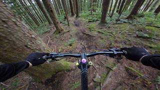 Quiet Bike and DH Shuttle Laps