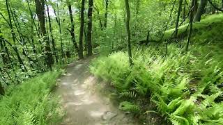 Boundary trail downhill