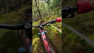 The Stage, Squamish MTB Trail