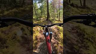Philly Cheese Steak, Squamish MTB Trail
