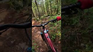 Lofty Ambition, Squamish MTB Trail