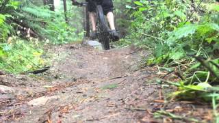 Cheech and Chongs Galbraith (MTB)
