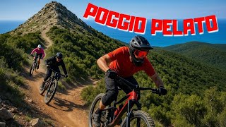 Sentieri vista mare: POGGIO PELATO |...
