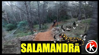 Salamandra