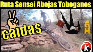 Ruta Sensei Abejas Toboganes Eses