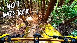 We hit the Bikeparks Steepest trails!! TD6
