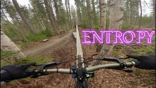 ENTROPY | PIDHERNY REC SITE | INTENSE TAZER MX...